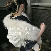 画像442