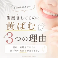 画像738