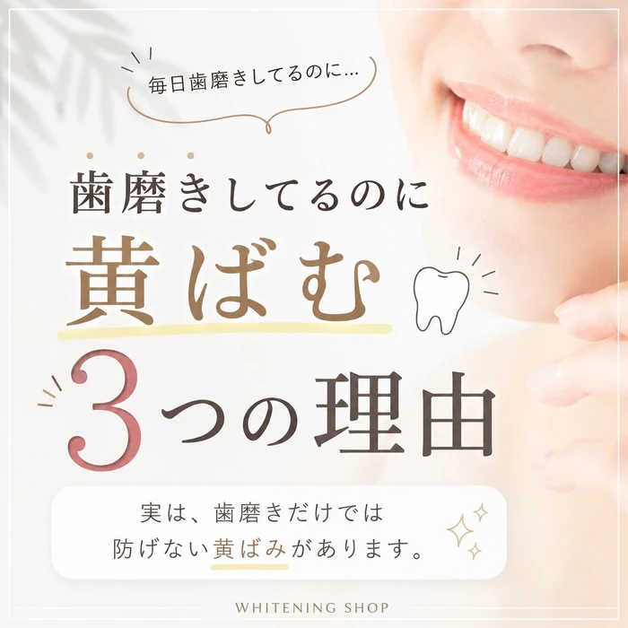 画像738